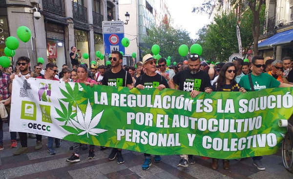 Autocultivo y uso de Cannabis en España 2019